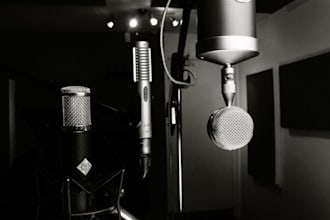 do professional voice over vo in gujarati or hindi