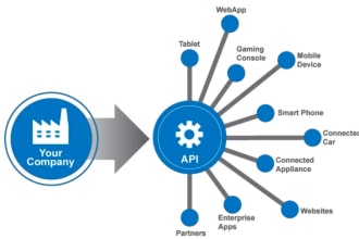 do third party service API integration