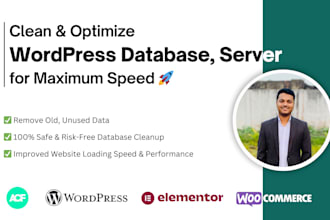 clean, optimize wordpress database, server files for maximum speed