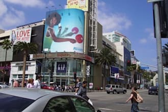 hand out 50 of your advertisments on Hollywood Boulevard