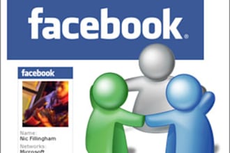 dominate and get 400 facebook fans  from USA and United State insights and get likes from them