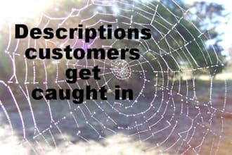 write a product description plus bullet points