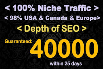 get 40k niche targeted seo friendly website traffic