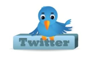 add an Awesome Animated Twitter Follow Me Bird on your website