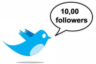 add 1000 Twitter Followers within 1 day