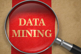 be your Expert for data mining