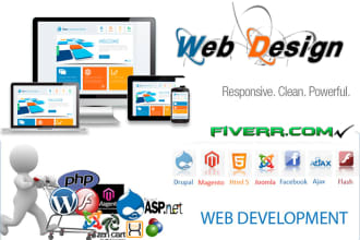 develop a professional ecommerce website