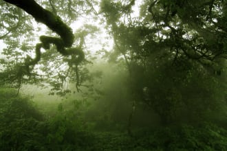photograph any location in india