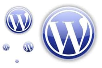 help you setting up your new wordpress websites