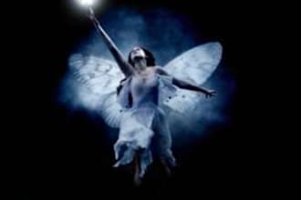 give you an oracle card reading to receive healing guidance from the Fairies