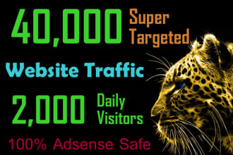 send total 40k USA based traffic,visitors to your site