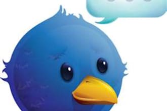 add 300 twitter followers, no password require
