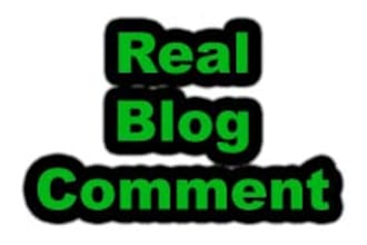 make Real Comments On 30 Blogs