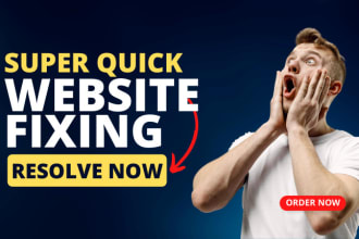 fix wordpress issues and website error fixed or woocommerce bug fix