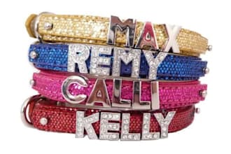 design a beautiful doggy necklace/collar