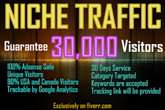 generate 30k niche base targeted website traffic visitors