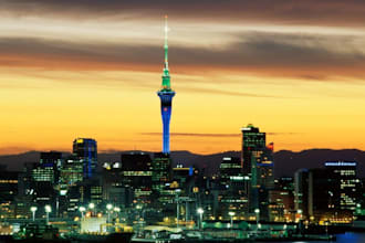 distribute 1,000 of your flyers in Auckland, New Zealand