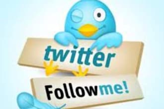 give you 100 twitter followers to your account within 24 hours