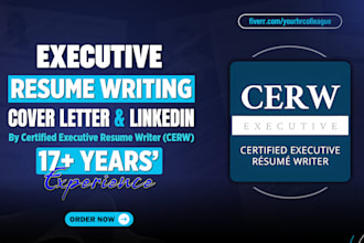 deliver in 24 hours a c level executive resume, cv, cover letter, linkedin
