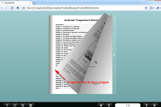 create a flash , exe html   flip book of your pdf or pictures to a nice catalog presentation