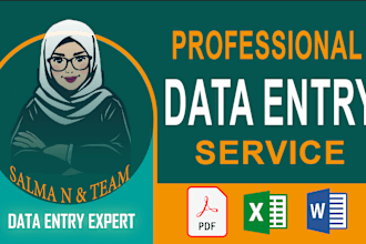 do excel data entry, copy paste and website data entry tasks