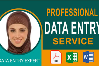do excel data entry, copy paste and website data entry tasks