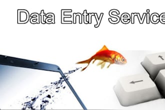 do Data Entry I am really good at Typing