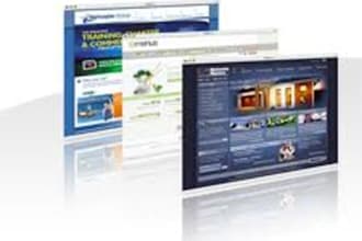 review your website and provide my professional analysis based on my initial visit