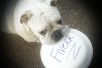 take a picture of my english bulldog holding your message in his mouth
