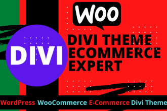 build ecommerce website with divi theme and divi builder