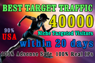 drive 40k niche targeted traffic within 20 days
