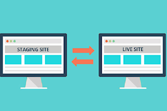 create a staging enviroment for your wordpress website