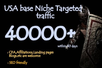guarantee to bring 40k niche targeted,usa website traffic
