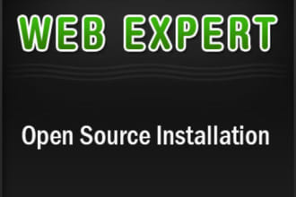 install php script