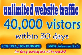 guarantee to bring 40k niche targeted,usa website traffic