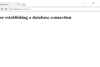fix wordpress database error