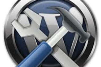 fix your Wordpress CSS issue, css bug