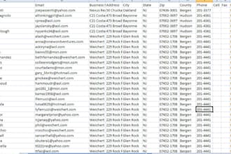 give you US Real Estate Agents List 1,017,464 Records