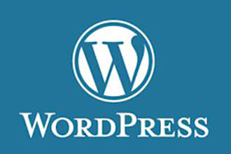 do wordpress development, landing pages, blogs