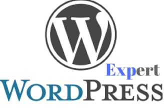 be your dedicated wordpress developer