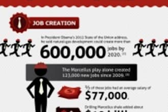 make a professional infographics and Professional Design