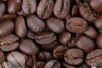 send you 20 coffee drop shippers/distributors