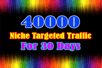 drive 40k niche targeted website traffic,visitors