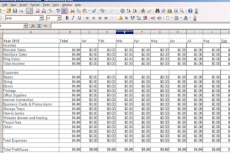 create an income/expense spreadsheet for your small business