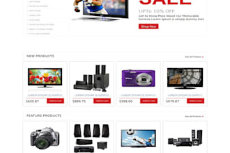 create ecommerce wordpress website