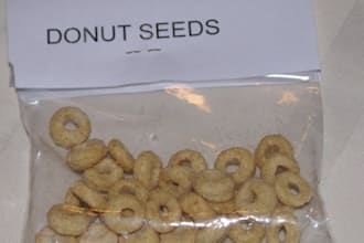 send you Donut Seeds