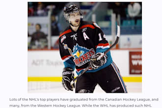 write a fantastic hockey article