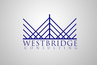 make a professional logo design