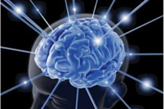teach you how to improve your memory