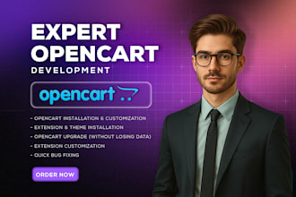 customize, upgrade, migrate and fix any opencart issue